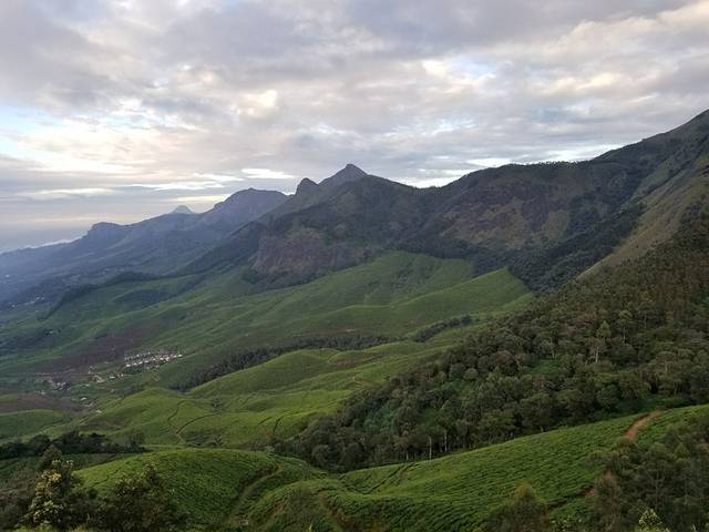 塔塔茶叶博物馆