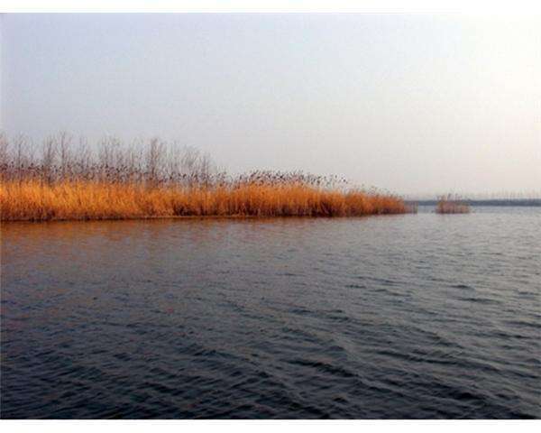 沱湖乡省级自然保护区