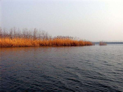 沱湖自然保护区旅游景点图片