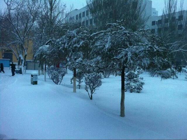 新疆大学(红湖校区)