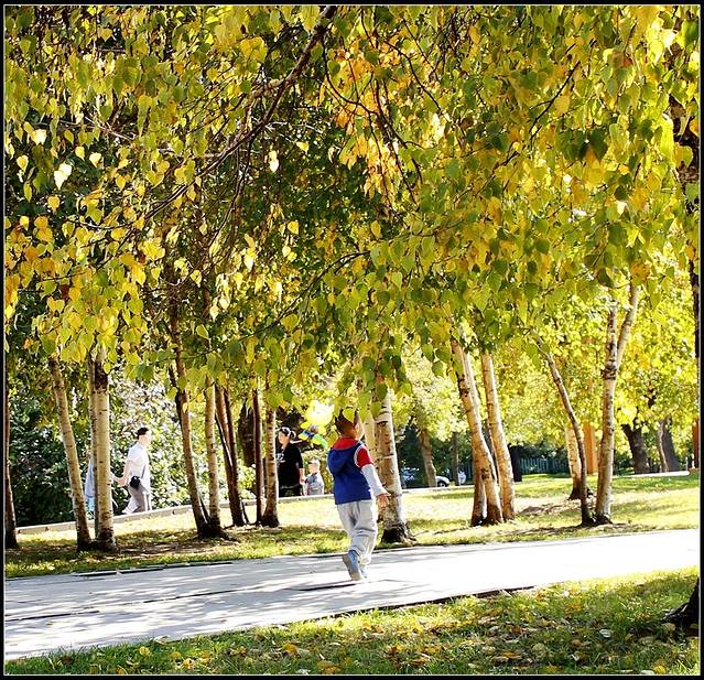 太阳岛笨熊乐园