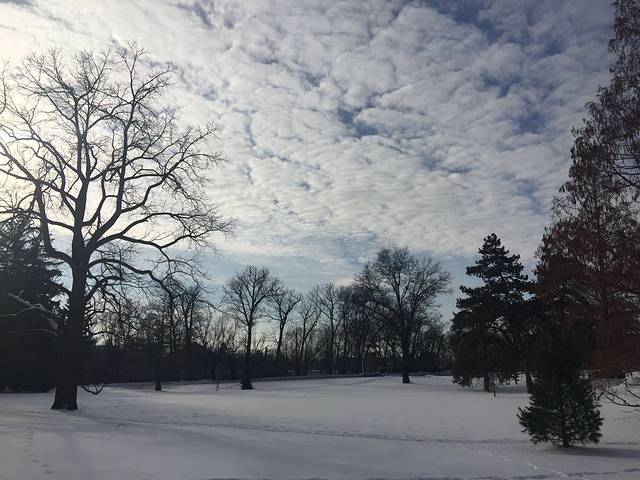 Michigan State University