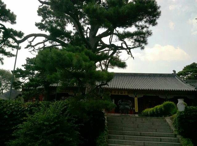 沈阳朝阳寺