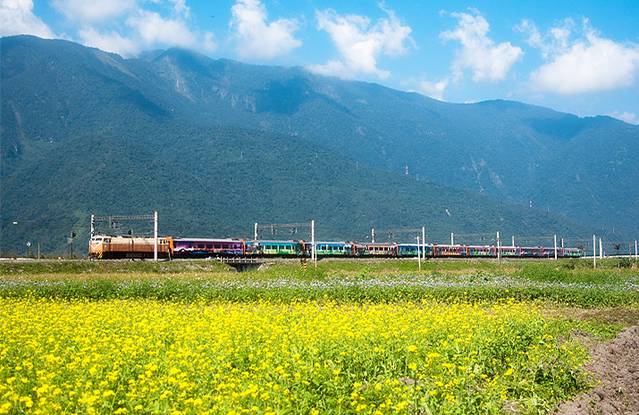 环岛之星-迪士尼列车