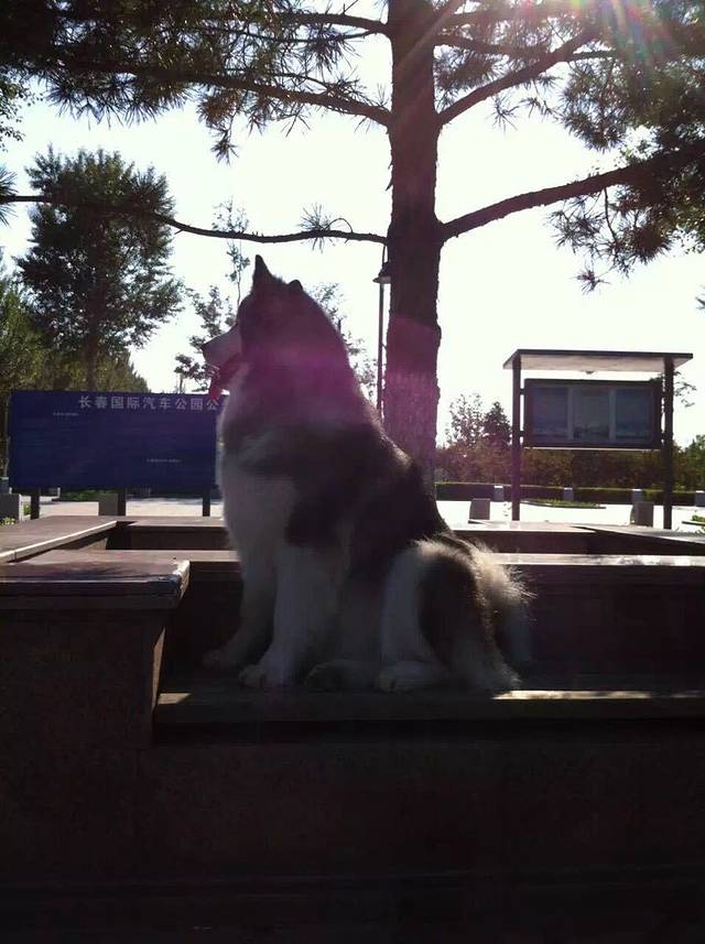 绿园区锦江广场