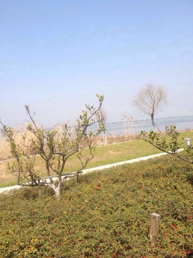 阳澄湖大闸蟹(湖滨路店)