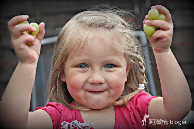 DURBANVILLE HILLS农庄