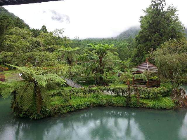 溪头自然教育园区