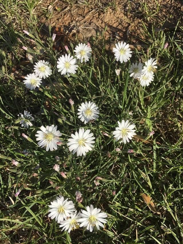 四块石湾公园-环海公园