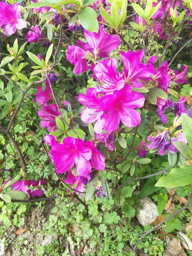 厦门市图书馆(文化艺术中心馆区)