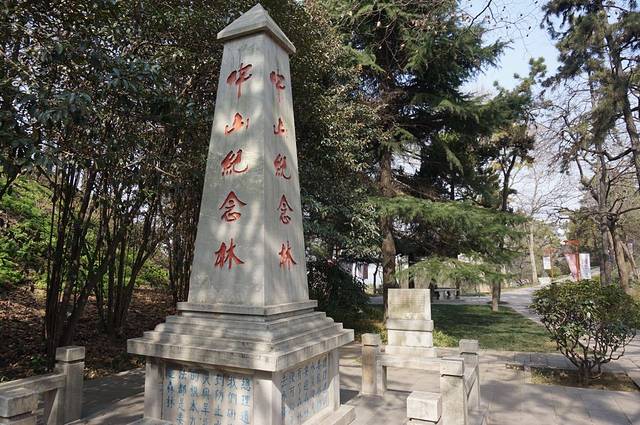 北固山公园-中山纪念林