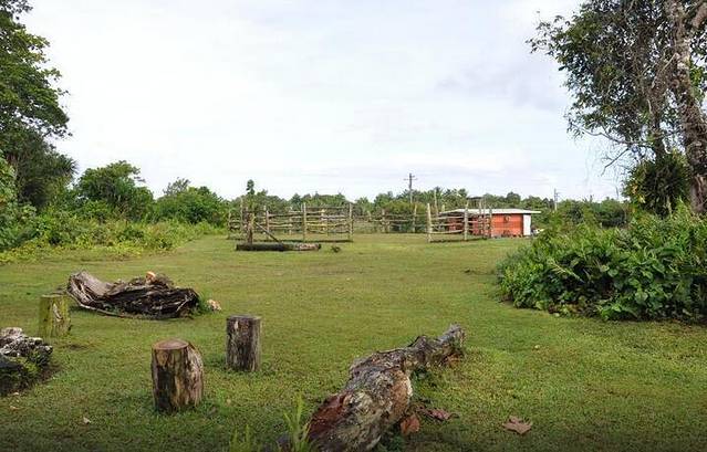 Horses of Sleepy Meadows