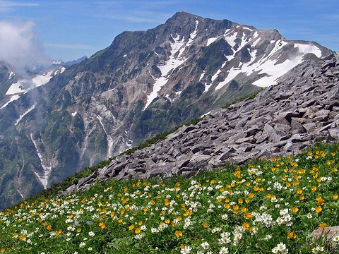 21白马岳 旅游攻略 门票 地址 问答 游记点评 白马村旅游旅游景点推荐 去哪儿攻略