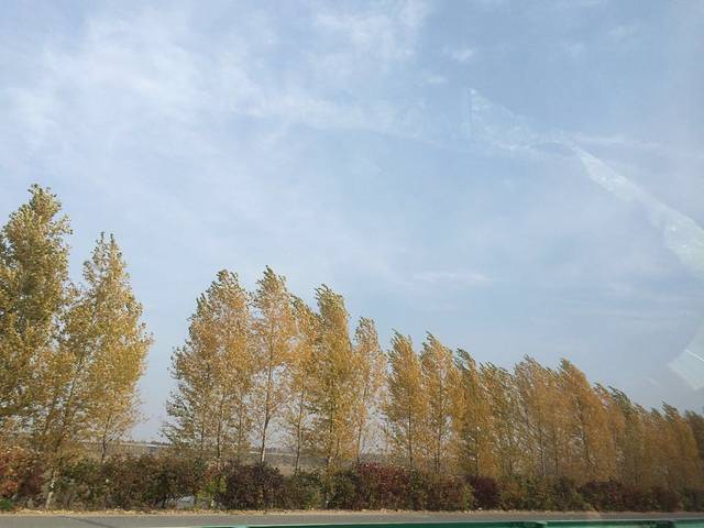 黑龙江大学-博物馆