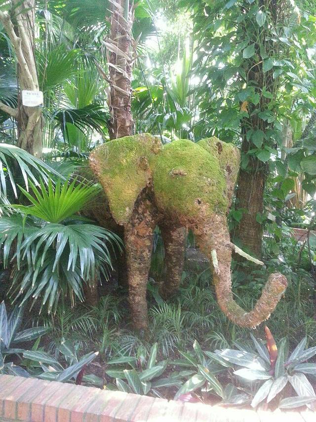 首尔儿童大乐园