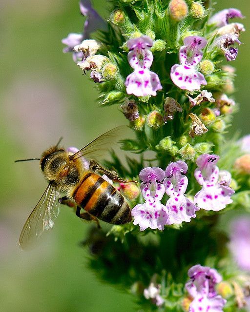 长海月亮湾海滨浴场
