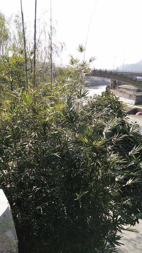 瓮安县烈士陵园