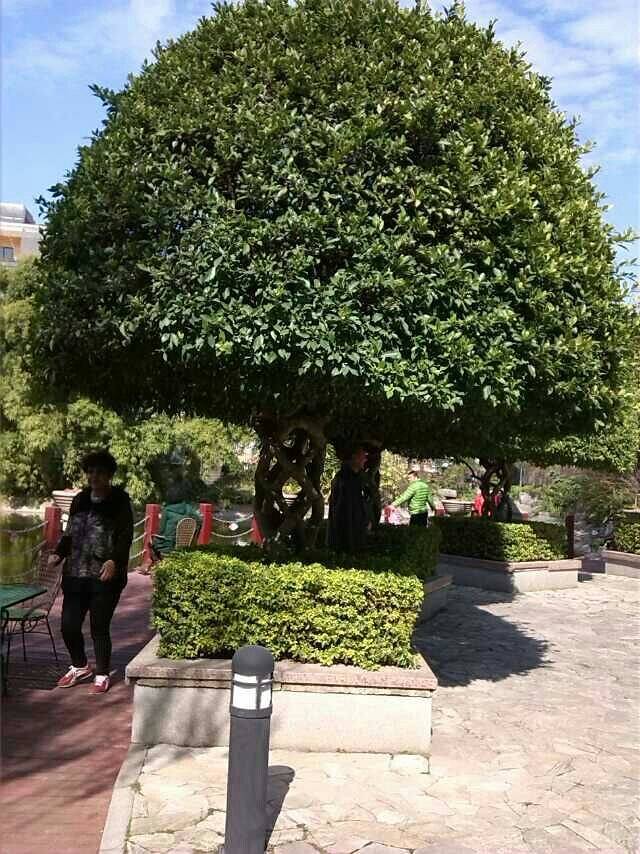 四平市山门水库风景区