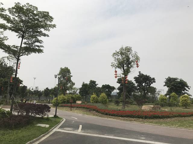 半月岛湿地公园