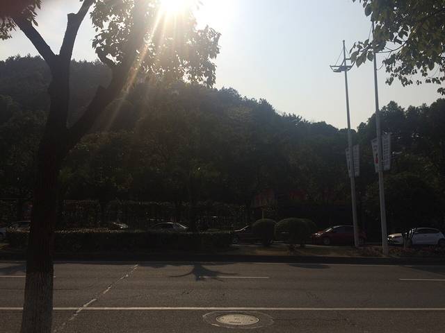 永淦古玩旅游区