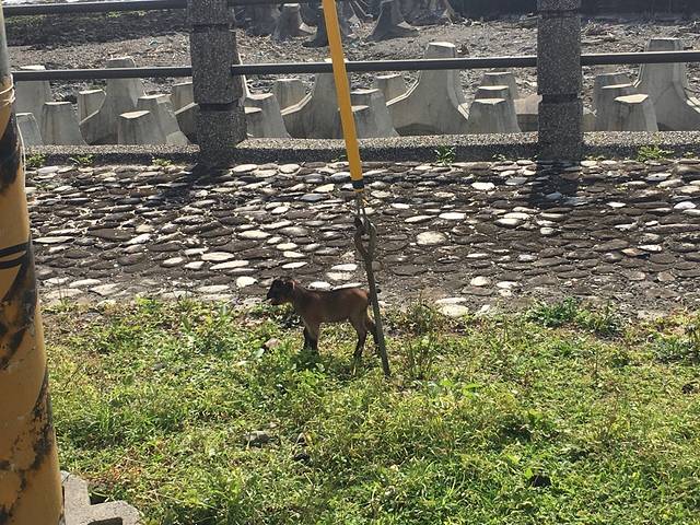 Green Island Mati Bridge