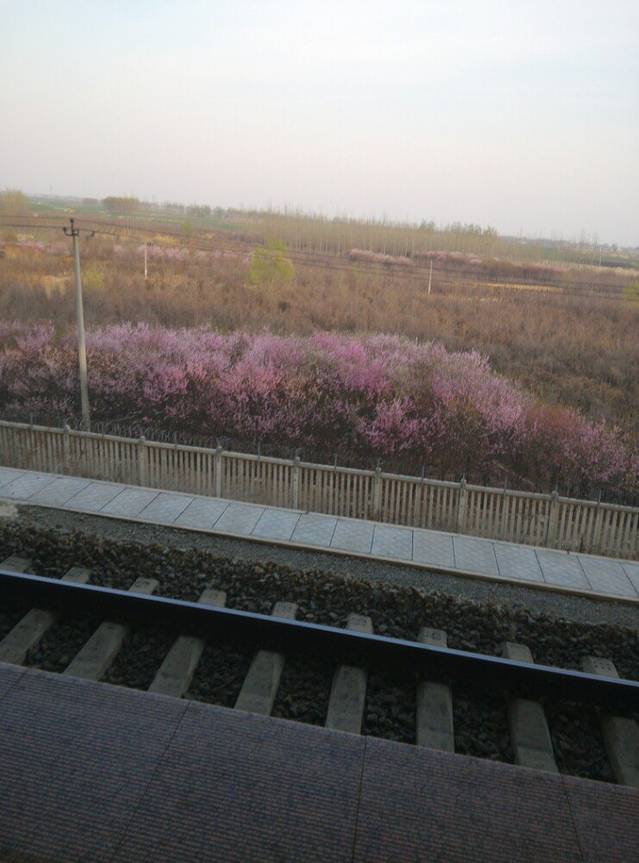 易县千佛山森林公园