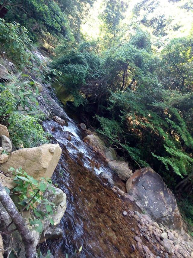 桂峰山风景旅游区