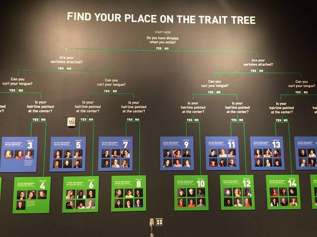 犹他州自然历史博物馆