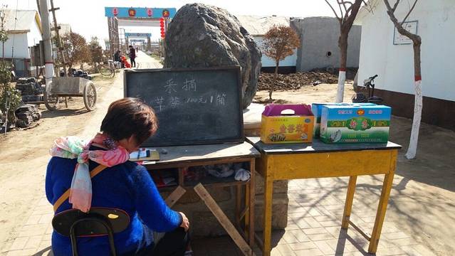 周家庄农业特色观光园