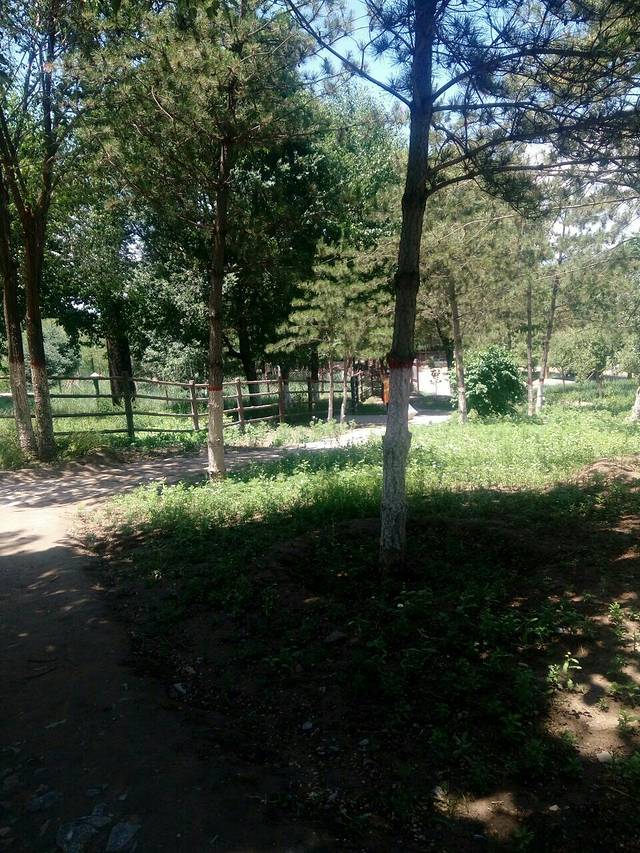 西宁野生动物园海洋馆