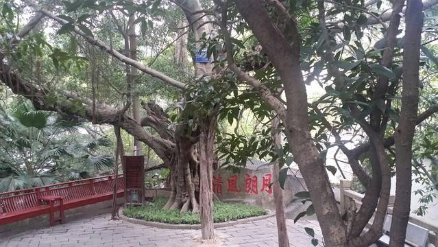 于山风景区-月朗风清