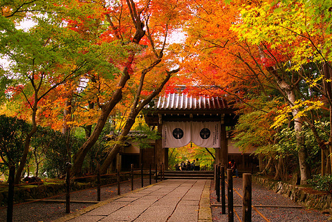 长冈京市旅游图片