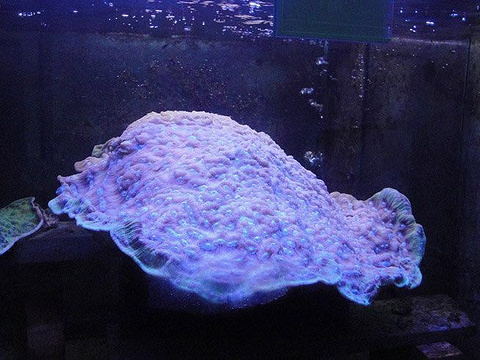 2018海洋漫画馆_旅游攻略_门票_地址_游记点评,基隆旅游景点推荐 - 去