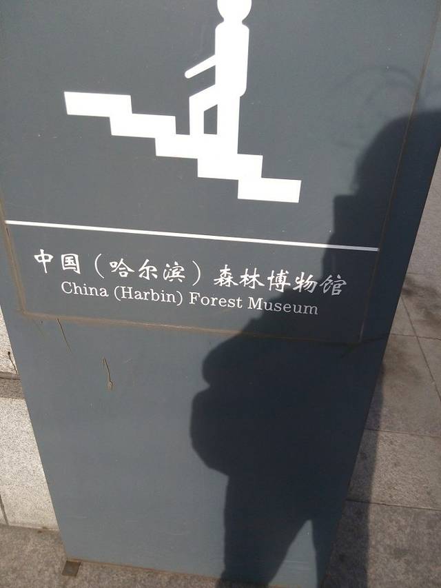 中国哈尔滨森林博物馆