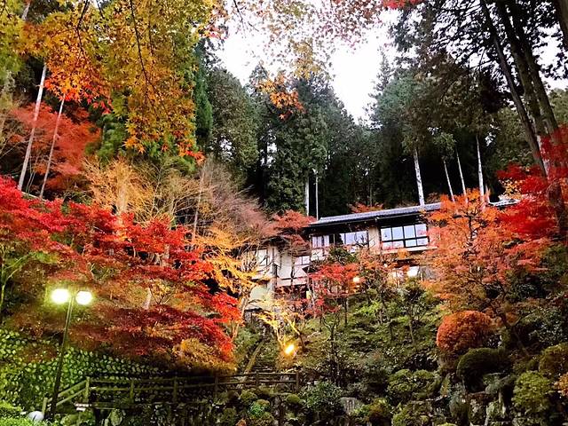 下吕温泉汤之岛馆