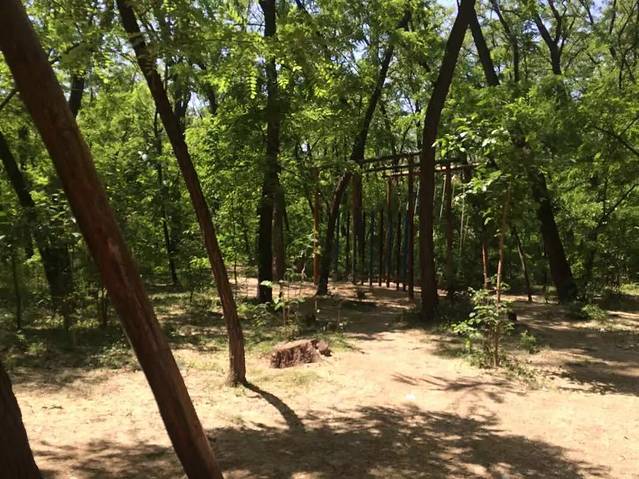 红坛寺森林公园