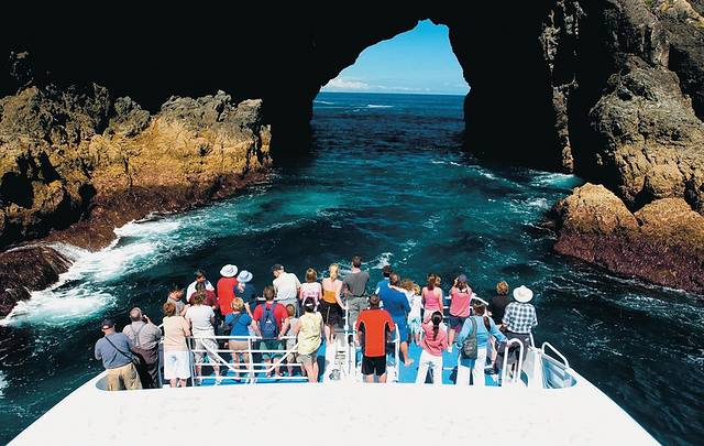 岩中洞寻海豚游船