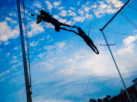 mid air circus arts flying trapeze & circus arts academy