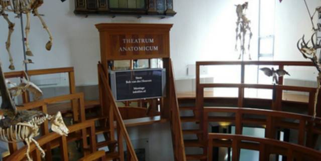 解剖学博物館
