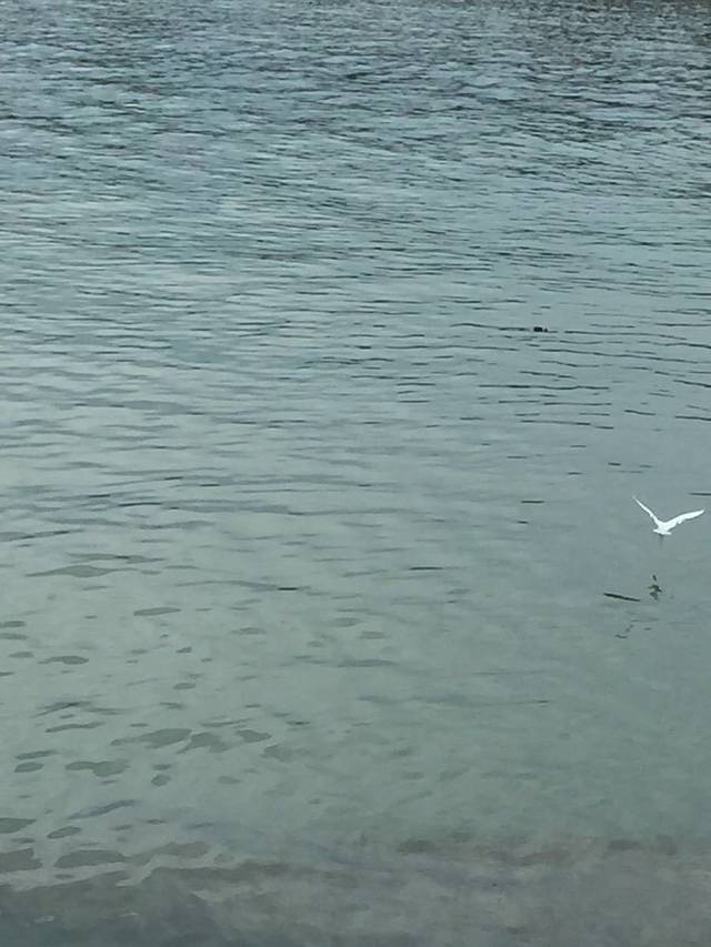 铜山风景名胜区