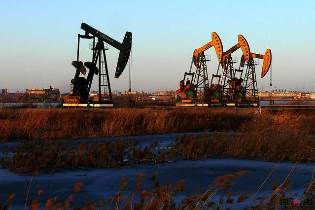 顺义京东大芦荡