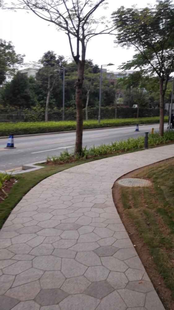 宝安区体育中心体育馆