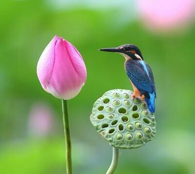 宜兴市规划展示馆