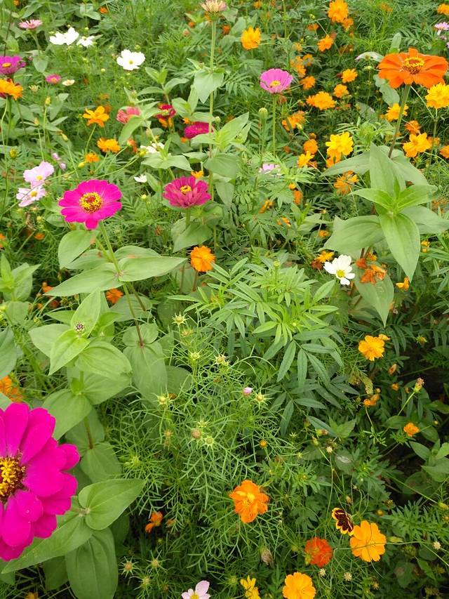 熙凤水乡旅游度假区