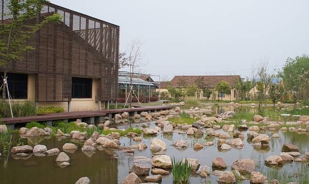 中新农业泰生示范农场