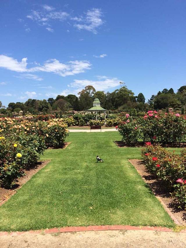 Victoria State Rose Garden
