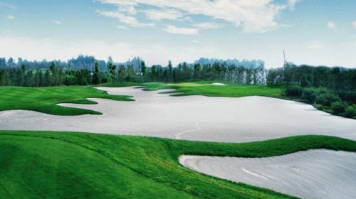 艾力枫社-高尔夫