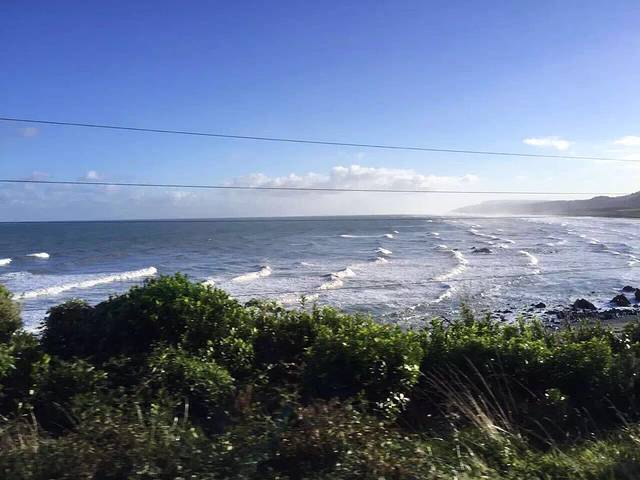 Bogachiel State Park