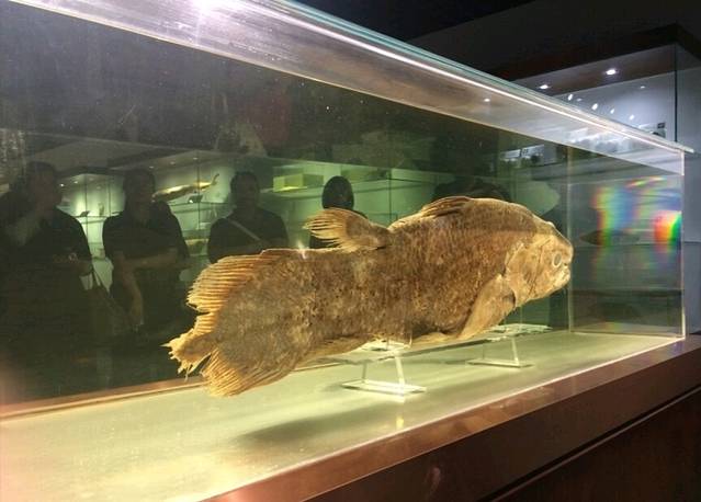 水生生物博物馆