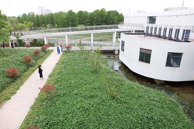 浦东金海湿地公园